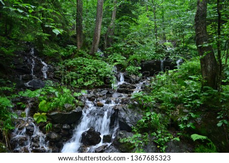 Forests, streams and rocks are the beauties of nature