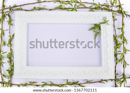 White frame with branches of green willow on a pink background. Copy space in the middle for your text. Willow twigs.