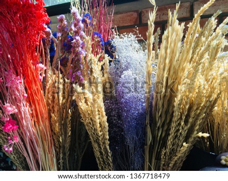 Multicolored dried flowers in coffee shop