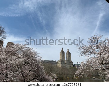 Central Park in the spring, New York City, USA.