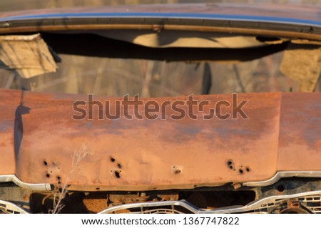 Old vintage rusted out car’s hood and windshield area - left in the middle of no where forest / field in rural Wisconsin - golden light at sunset