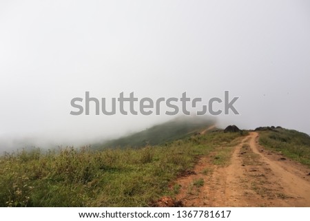 Gravel road with foggy and mist. Nature and landscape at Wildlife Sanctuary in Northern Thailand.