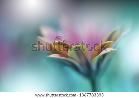 Beautiful Macro Shot of Magic Flowers. Border Art Design.Extreme close up Photography.Conceptual Abstract Image.Green Nature Background.Artistic Floral Art.Creative Wallpaper.Amazing Spring Flower.
