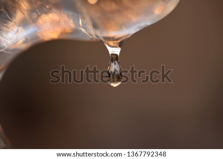 drop close up on brown background