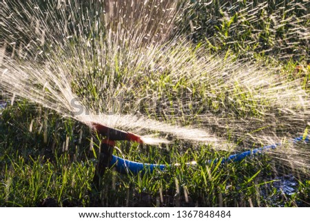 Splashing water to water the lawn as a background .