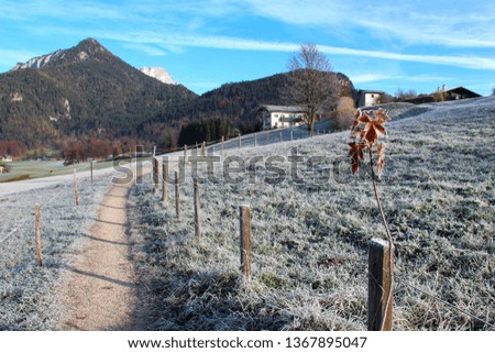 Mountain landscape in the Bavarian Alps, Germany