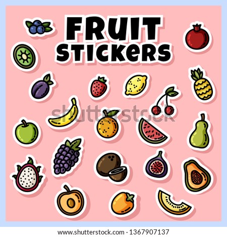 Fruit stickers colorful set. Collection of fruit flat labels
