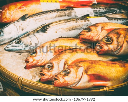 fresh fishes in a market