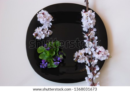Arrangement of flowering plants and coffee cup on a black plate