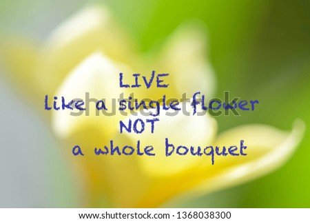 Live like a single flower NOT a whole bouquet - inspirational words image