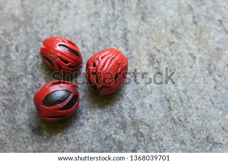 Group of whole organic Nutmeg seeds, Kerala India. spices known as manisan pala in Indonesia and red mace from tree Myristica fragrans in Banda Islands Moluccas Spice Islands. Has medicinal value.