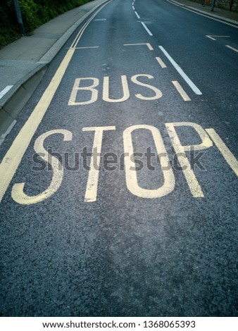 Bus stop marking on road 