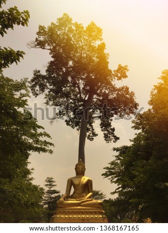 Golden Buddha statue under the tree