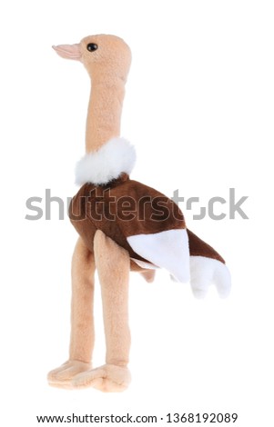 ostrich Doll isolate on white