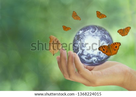 Beauty orange butterfly flying around the world , Concept for butterfly effect or Nature background or conservative earth day, Elements of this image furnished by NASA