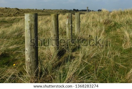 Wooden pole stakes in Mornington beach dunes with the Maiden Tower in the distant background.