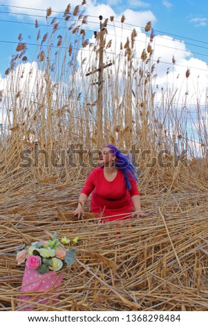 the woman in the red dress in the reeds on the background of blue sky
