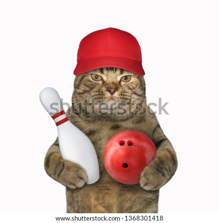The cat in a cap is holding a red bowling ball and a pin. White background. Isolated.