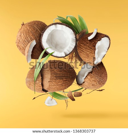 Flying in air fresh ripe whole and cracked coconut with palm leaves isolated on pastel yellow background. High resolution image, 3d concept