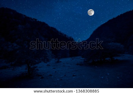 Mountain Road through the forest on a full moon night. Scenic night landscape of country road at night with large moon
