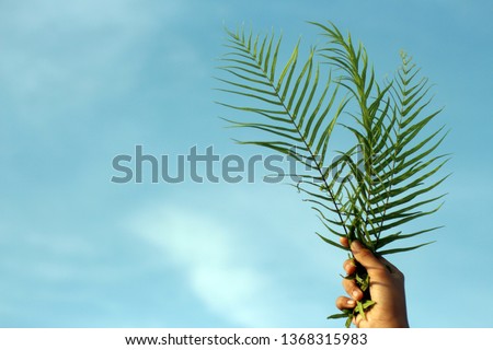 Palm Sunday concept. Young woman hold palm leaves with bright blue sky background. Happy Palm Sunday! Royalty-Free Stock Photo #1368315983