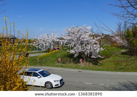 Traffic of a circle in the B500, feeders in Baden-Baden with blossoming trees 
