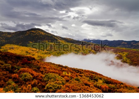 Stormy fall morning in Cimmarron Mountains with mountainside of changing yellow aspen trees and orange scrub oak and low clouds creeping up the valley