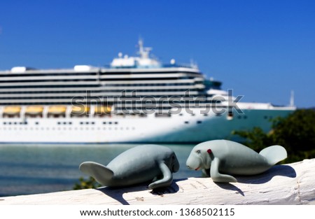 Manfred the manatee and Marina looking at the cruise ship in the Caribbeans