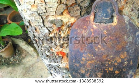 Hoe to rust with trees