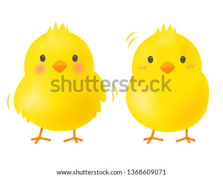 Little chick isolate on white background : Vector Illustration