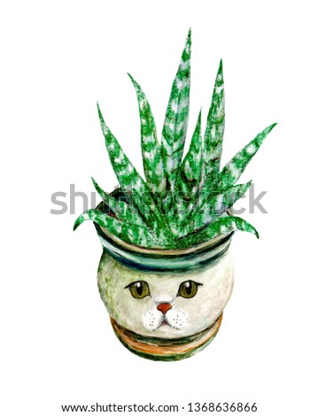 Cute flower pot with cat eyes. Watercolor hand-drawn illustration with  succulents. Green house plants illustrations. Hand drawn watercolor illustration