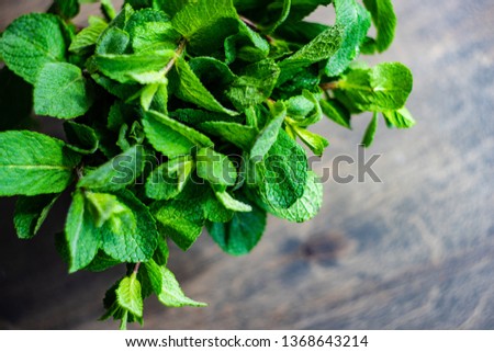 Organic food concept with fresh green leaves of mint plant