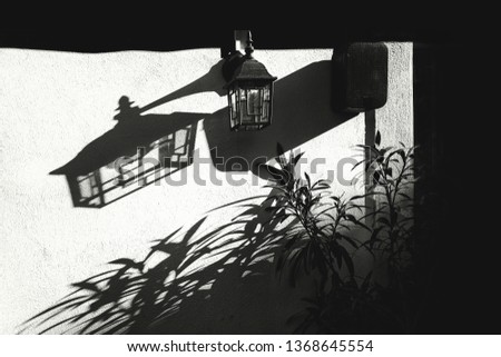 Shadows of the lamp and plants on the building facade, black and white art photography