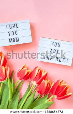 Creative flat lay top view Mothers Day greeting card with red tulips spring flowers on pink background. Celebration Postcard template