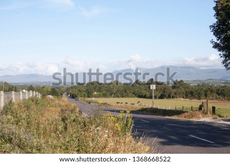 Rural Irish Road