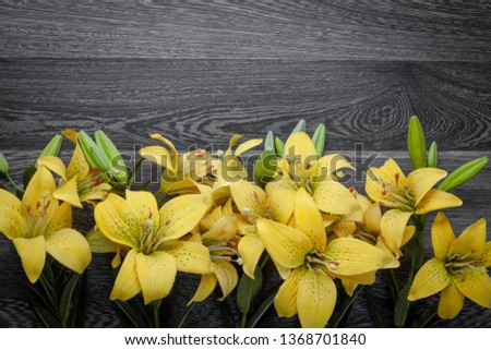Beautiful yellow lilies on a dark wooden background.