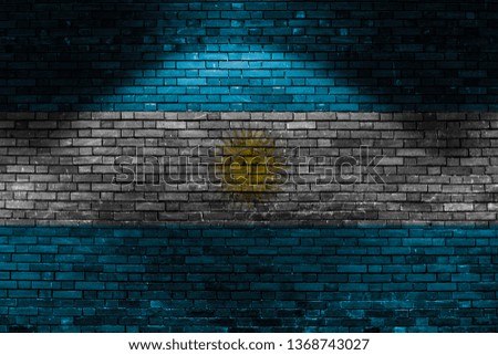 Argentina flag on brick wall at night
