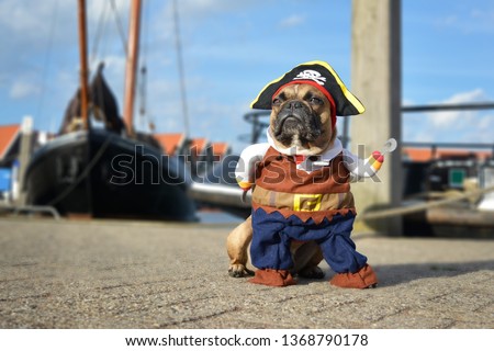 Funny brown French Bulldog dog  dressed up in pirate costume with hat and hook arm standing at harbour with boats in background