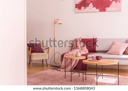 Lamp between armchair and sofa with pink and red blanket in flat interior with tables. Real photo