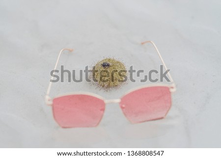 glasses and sea urchin put in sand 