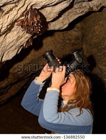 Photographer taking pictures of animals bats