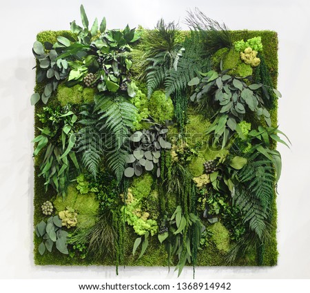 A beautiful vertical background made up of stabilized plants: grass, moss, fern and green leaves.