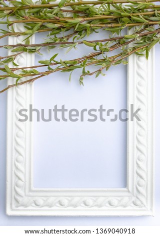 White frame with green willow branches on a white background. Copy space in the middle for your text. Willow twigs.