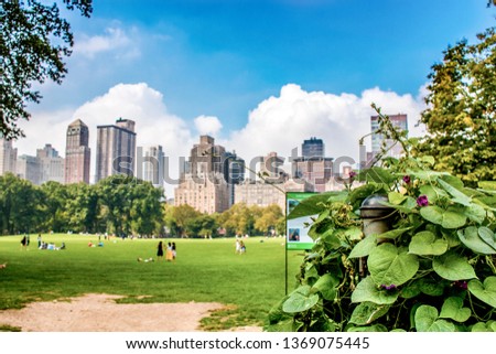 Beautiful view on the central park in manhattan. Infront a nice Plant with big leafs and in the background the skyscrapers of new york city. Some meadow with any tourists and picnickers.