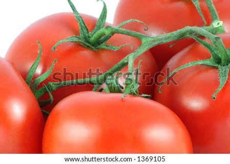 Tomatoes on a vine close-up. Royalty-Free Stock Photo #1369105