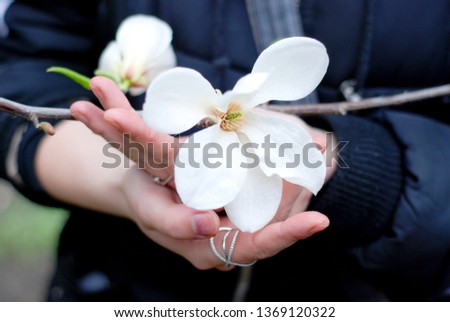 White magnolia flower in female hands