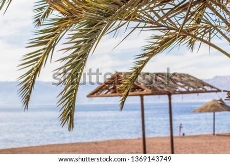 empty sand beach tropic Middle East Res sea coast line waterfront with palm branches foreground