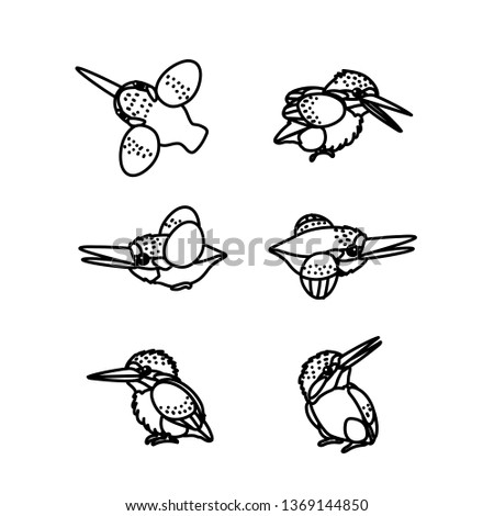 vector line cartoon animal clip art kingfisher birds set