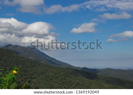 Beautiful mountain landscape with mountain forest and blue sky.