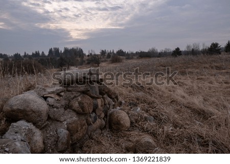 Rock wall in a field